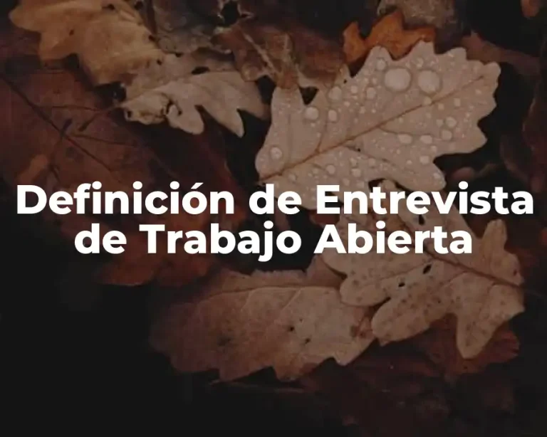 Definición de Entrevista de Trabajo Abierta