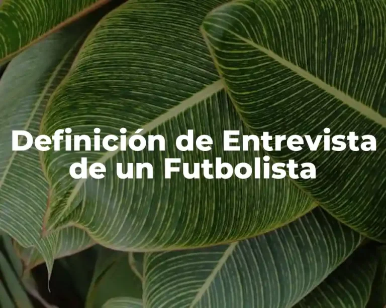 Definición de Entrevista de un Futbolista