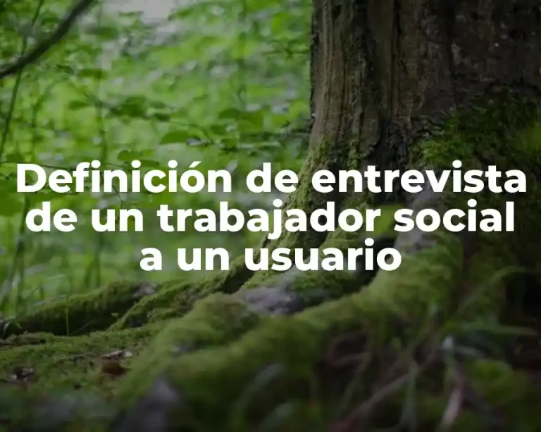 Definición de entrevista de un trabajador social a un usuario