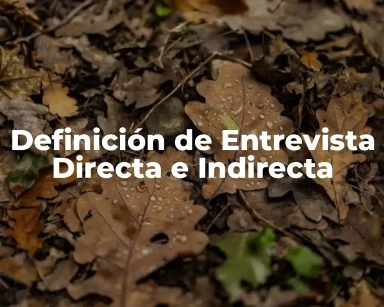 Definición de Entrevista Directa e Indirecta