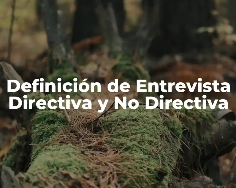 Definición de Entrevista Directiva y No Directiva