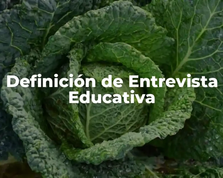 Definición de Entrevista Educativa