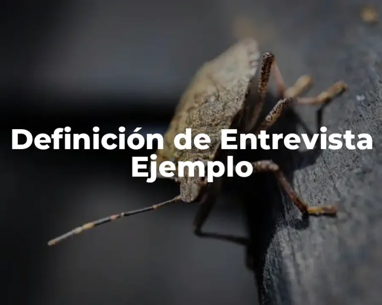 Definición de Entrevista Ejemplo