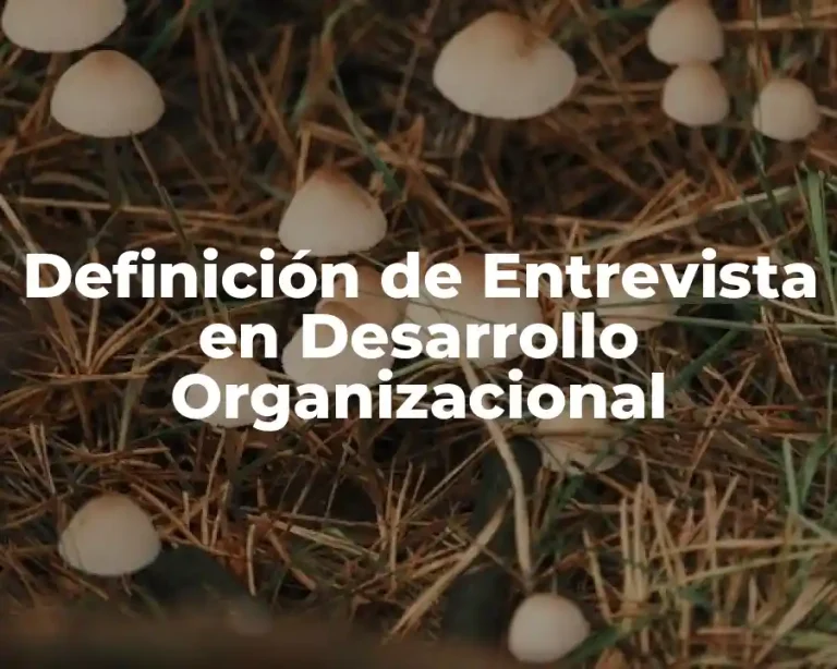 Definición de Entrevista en Desarrollo Organizacional