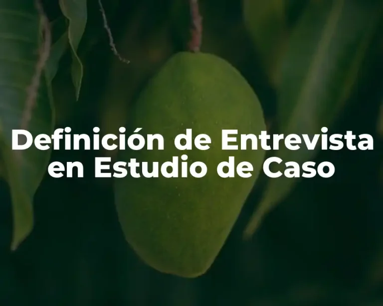 Definición de Entrevista en Estudio de Caso