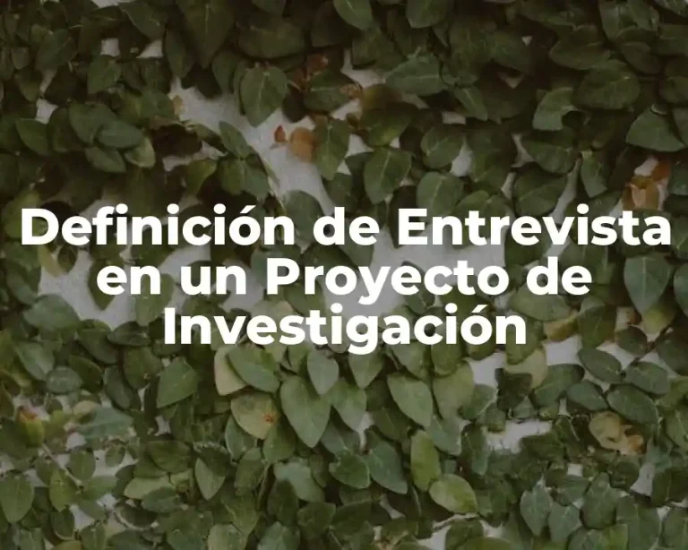Definición de Entrevista en un Proyecto de Investigación