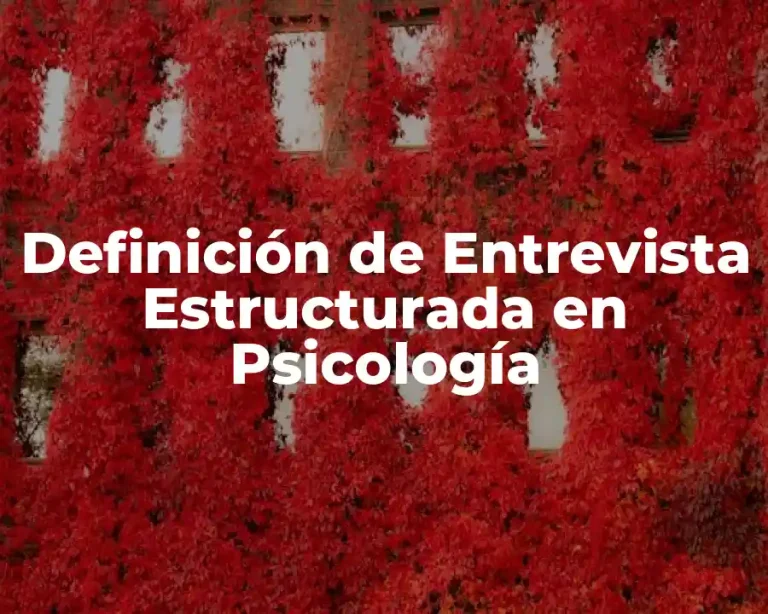Definición de Entrevista Estructurada en Psicología