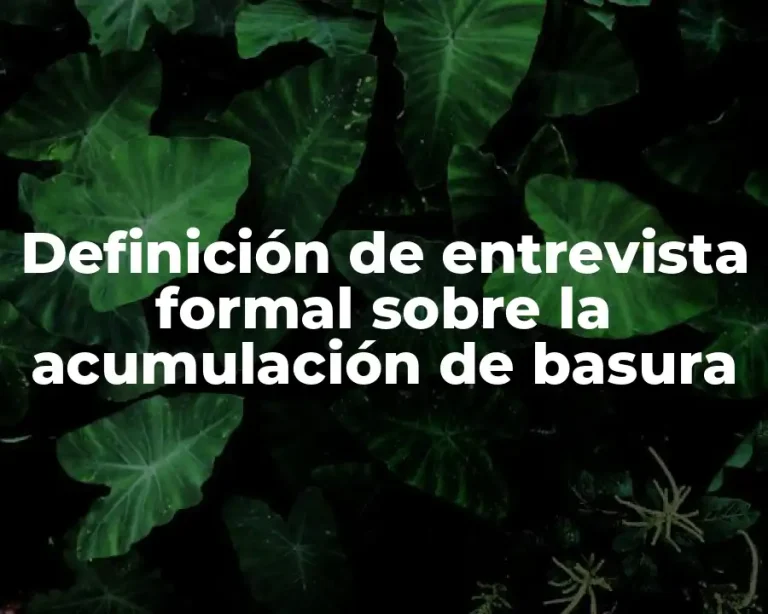 Definición de entrevista formal sobre la acumulación de basura