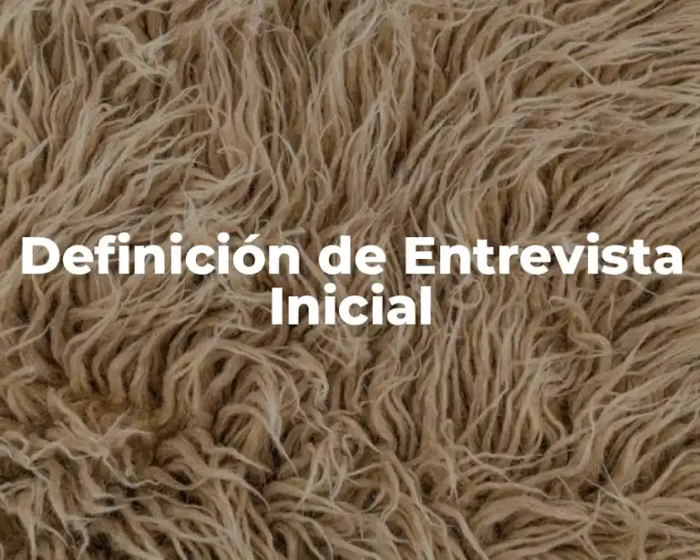 Definición de Entrevista Inicial