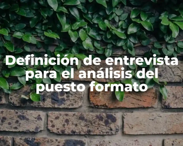 Definición de entrevista para el análisis del puesto formato