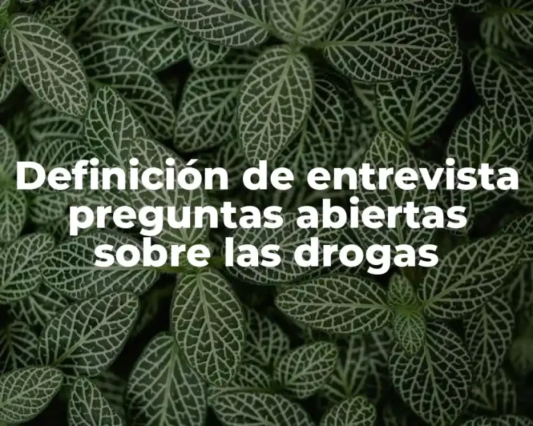 Definición de entrevista preguntas abiertas sobre las drogas