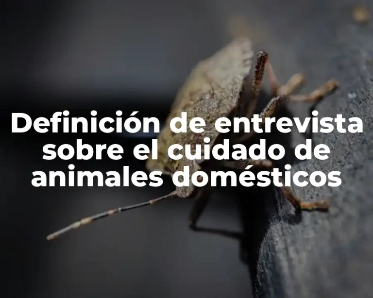 Definición de entrevista sobre el cuidado de animales domésticos