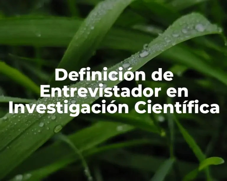Definición de Entrevistador en Investigación Científica
