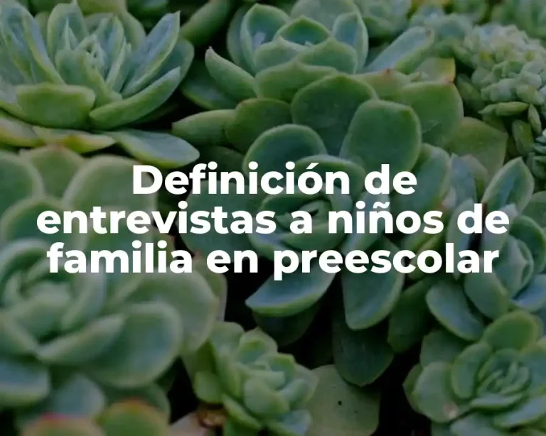 Definición de entrevistas a niños de familia en preescolar