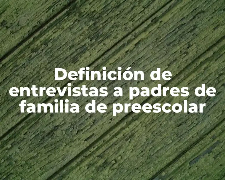 Definición de entrevistas a padres de familia de preescolar