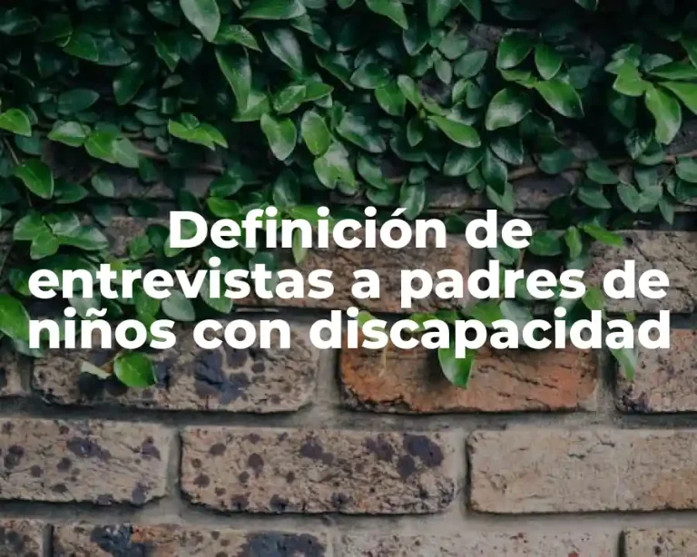 Definición de entrevistas a padres de niños con discapacidad