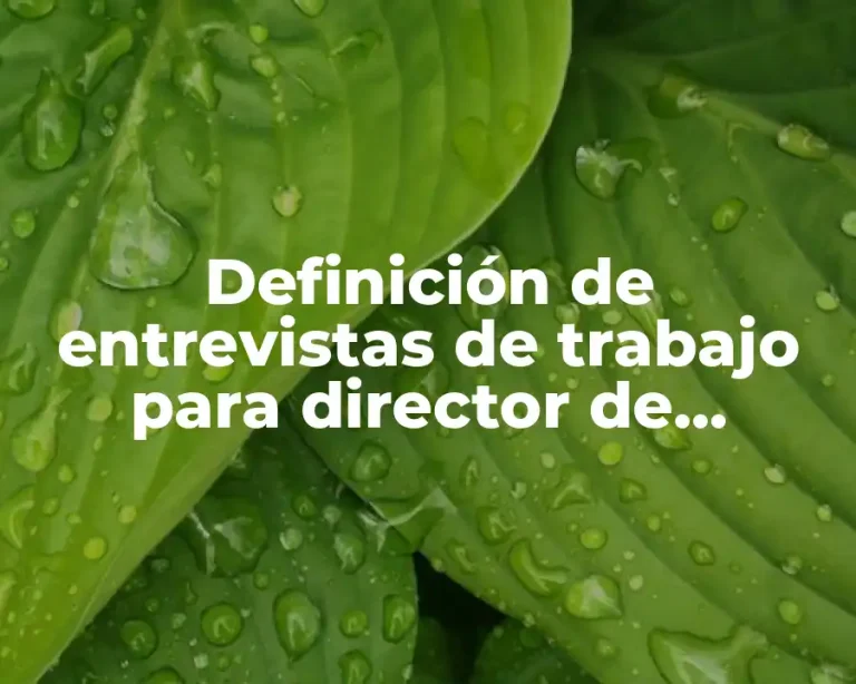 Definición de entrevistas de trabajo para director de marketing