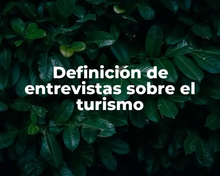 Definición de entrevistas sobre el turismo