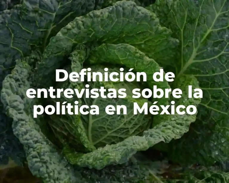 Definición de entrevistas sobre la política en México