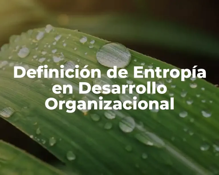 Definición de Entropía en Desarrollo Organizacional