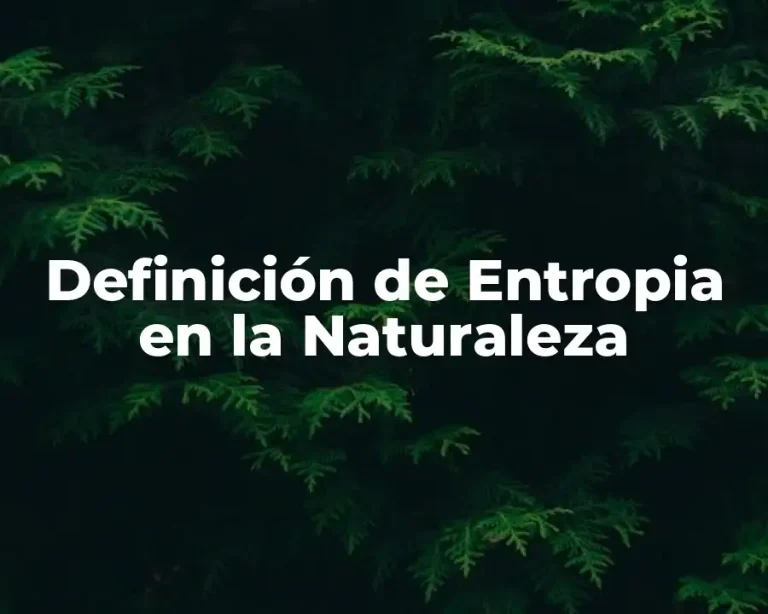 Definición de Entropia en la Naturaleza