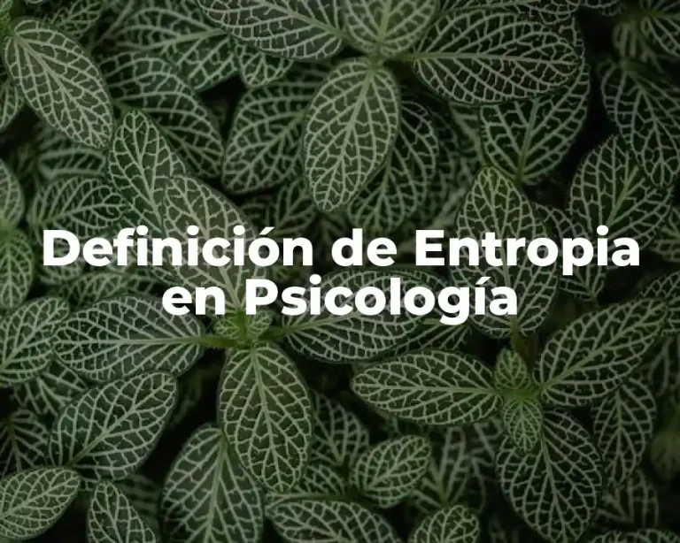 Definición de Entropia en Psicología