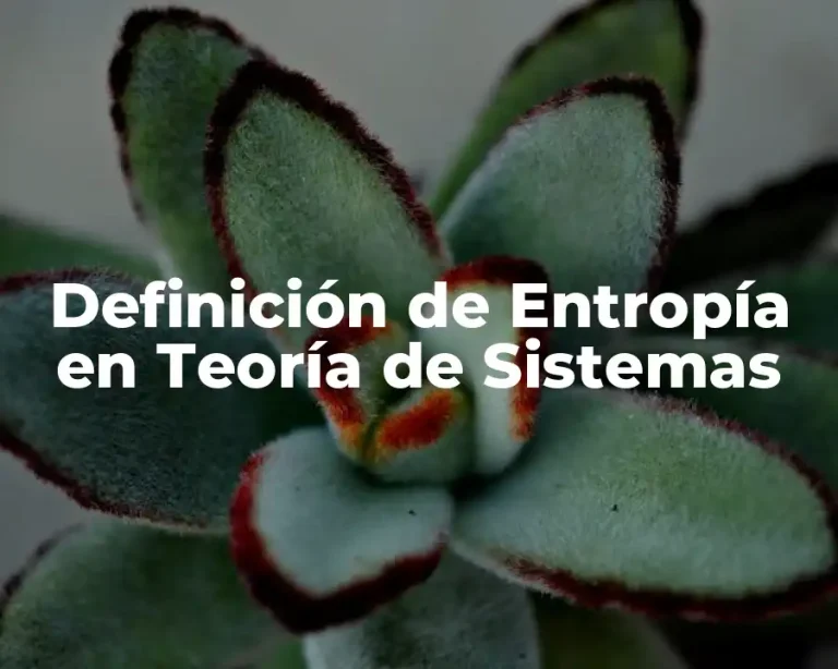 Definición de Entropía en Teoría de Sistemas