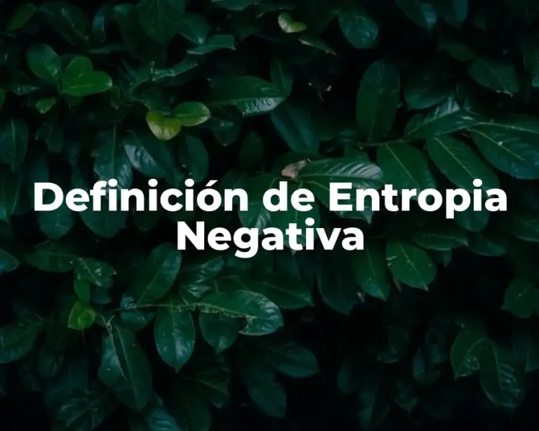 Definición de Entropia Negativa