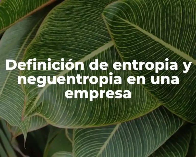 Definición de entropia y neguentropia en una empresa