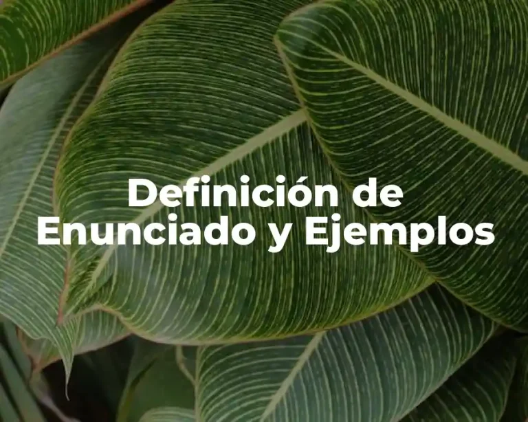 Definición de Enunciado y Ejemplos