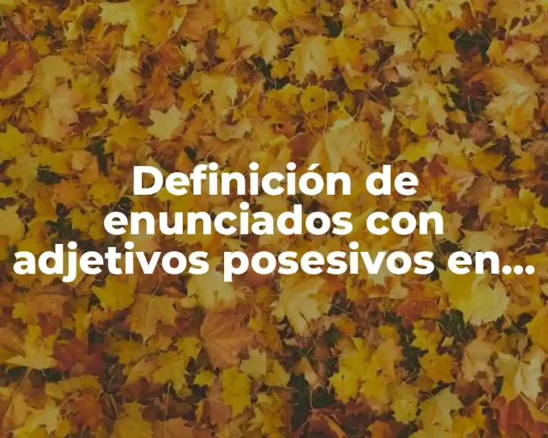 Definición de enunciados con adjetivos posesivos en inglés