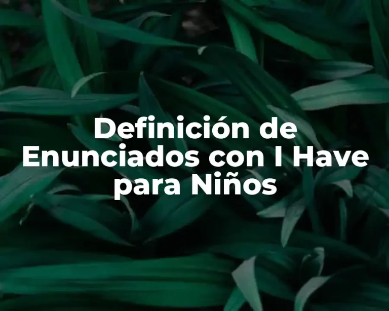 Definición de Enunciados con I Have para Niños