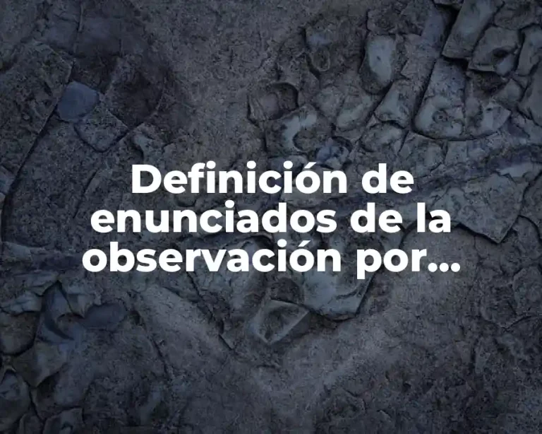 Definición de enunciados de la observación por identificación