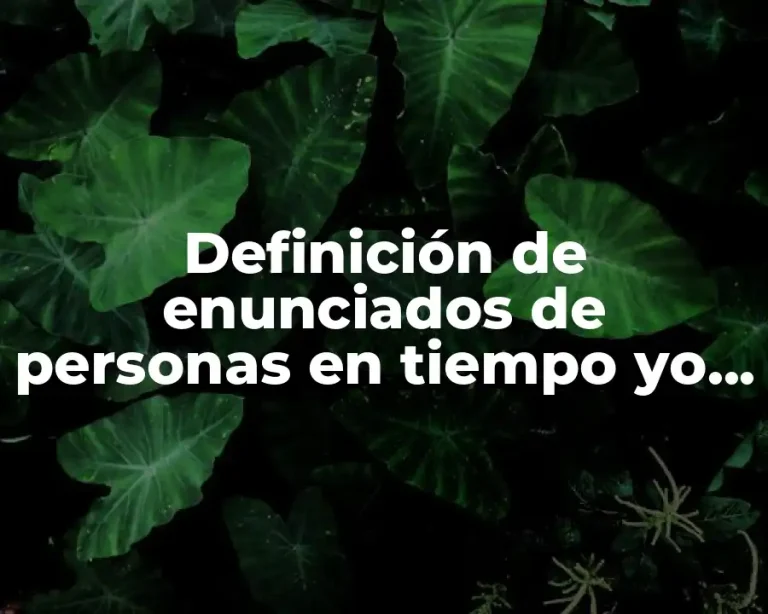 Definición de enunciados de personas en tiempo yo tu él