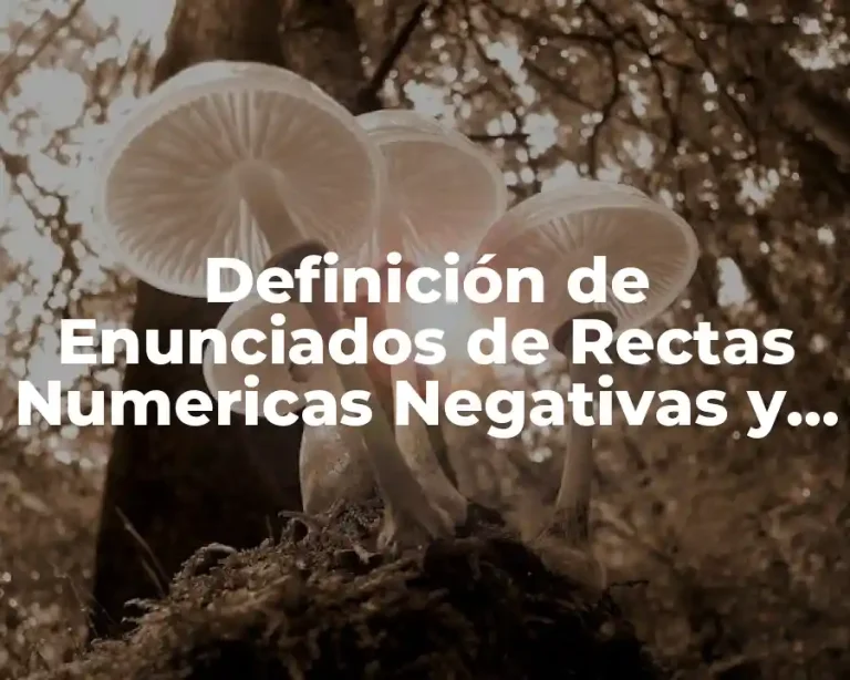 Definición de Enunciados de Rectas Numericas Negativas y Positivas