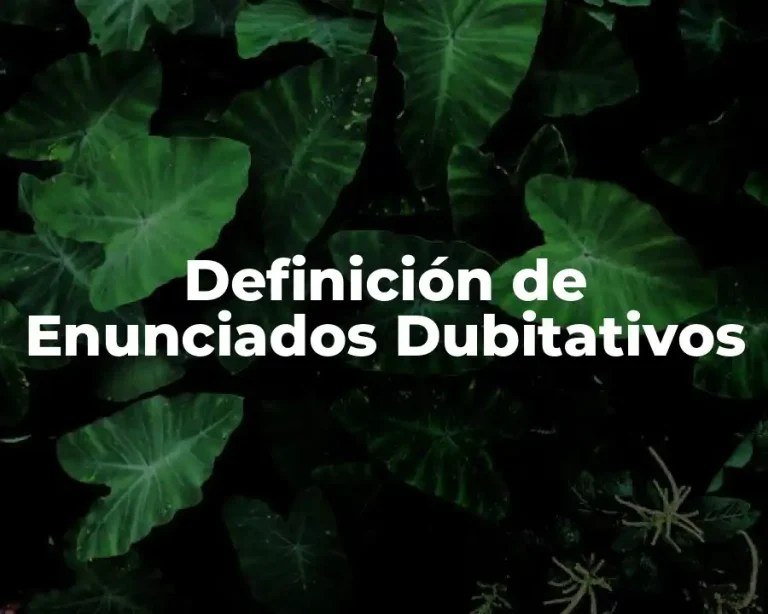 Definición de Enunciados Dubitativos