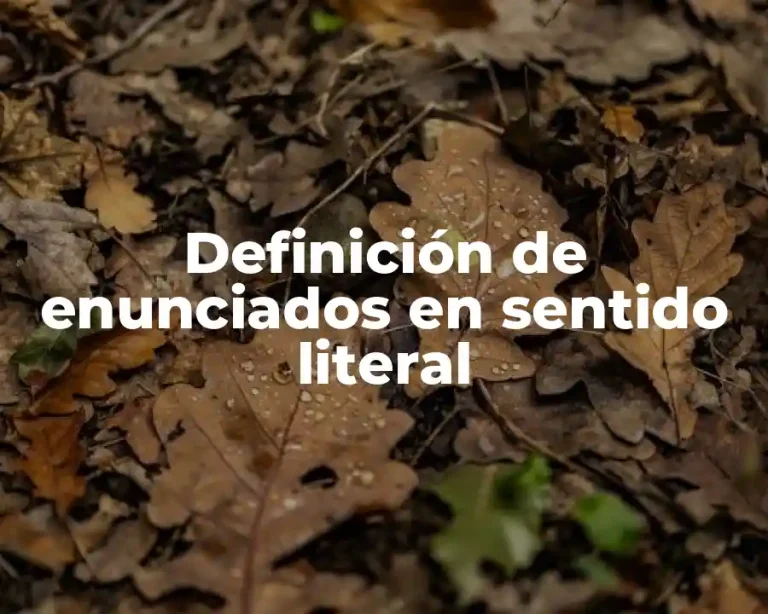 Definición de enunciados en sentido literal