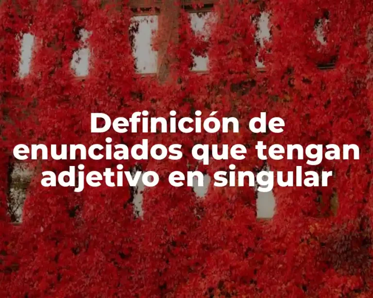 Definición de enunciados que tengan adjetivo en singular