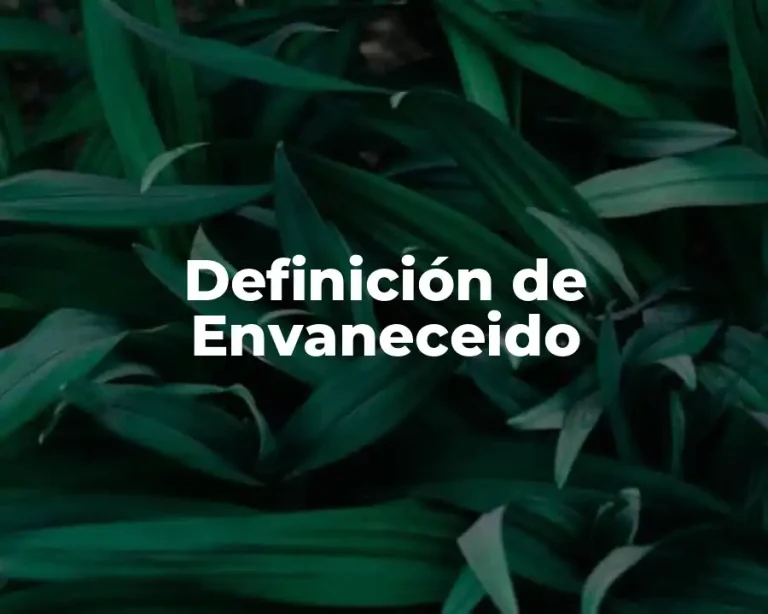 Definición de Envaneceido