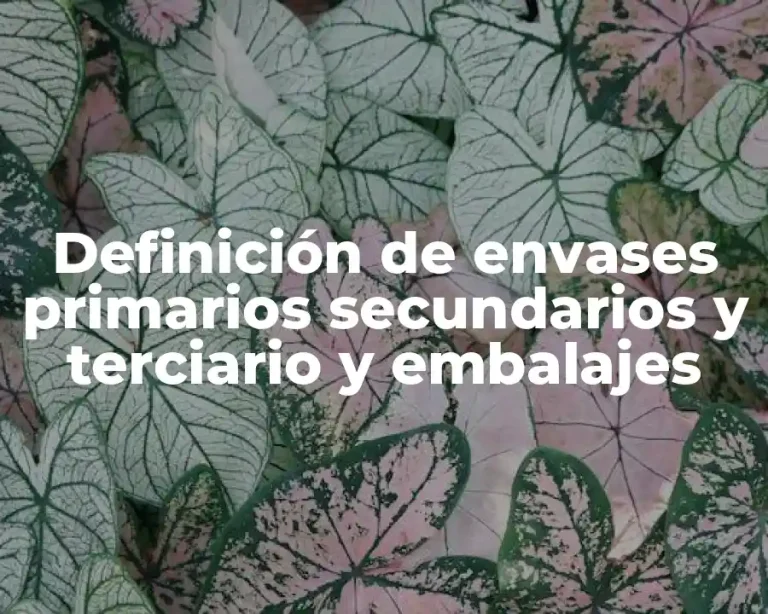 Definición de envases primarios secundarios y terciario y embalajes
