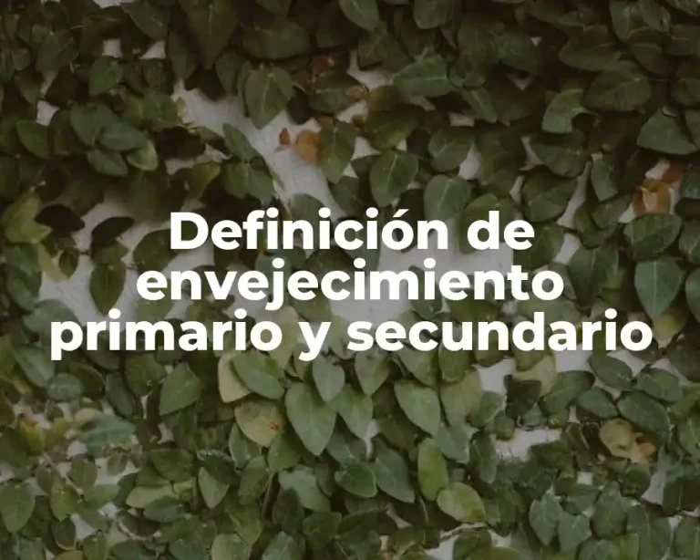 Definición de envejecimiento primario y secundario