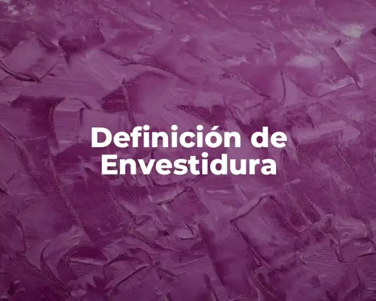 Definición de Envestidura