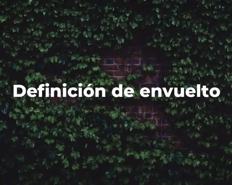 Definición de envuelto