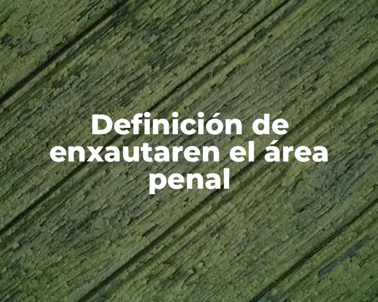 Definición de enxautaren el área penal