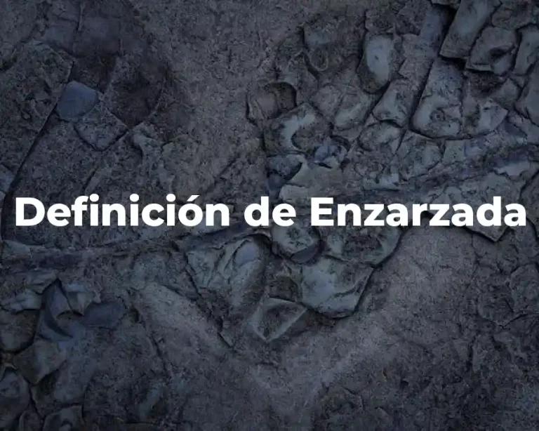 Definición de Enzarzada