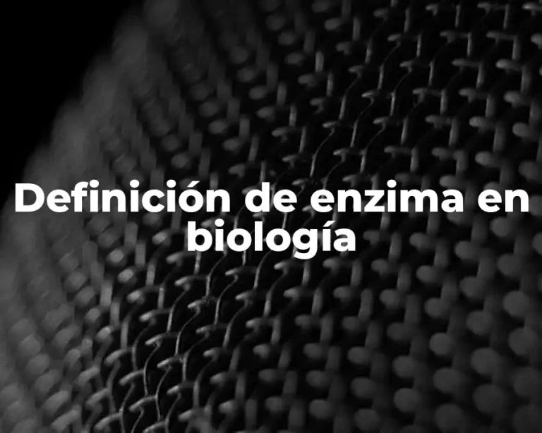 Definición de enzima en biología