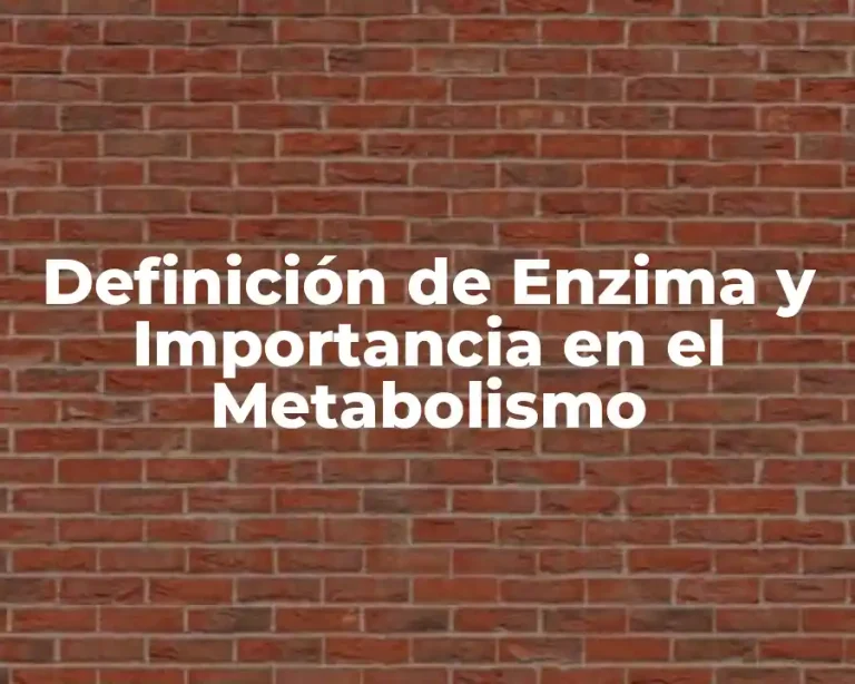 Definición de Enzima y Importancia en el Metabolismo
