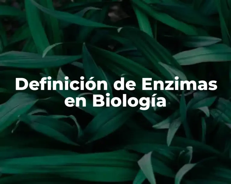 Definición de Enzimas en Biología
