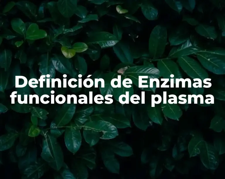 Definición de Enzimas funcionales del plasma