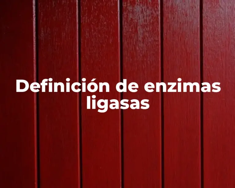 Definición de enzimas ligasas